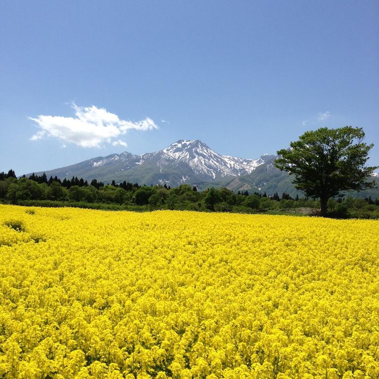 Hotel Alpen Blick Myoko Esterno foto